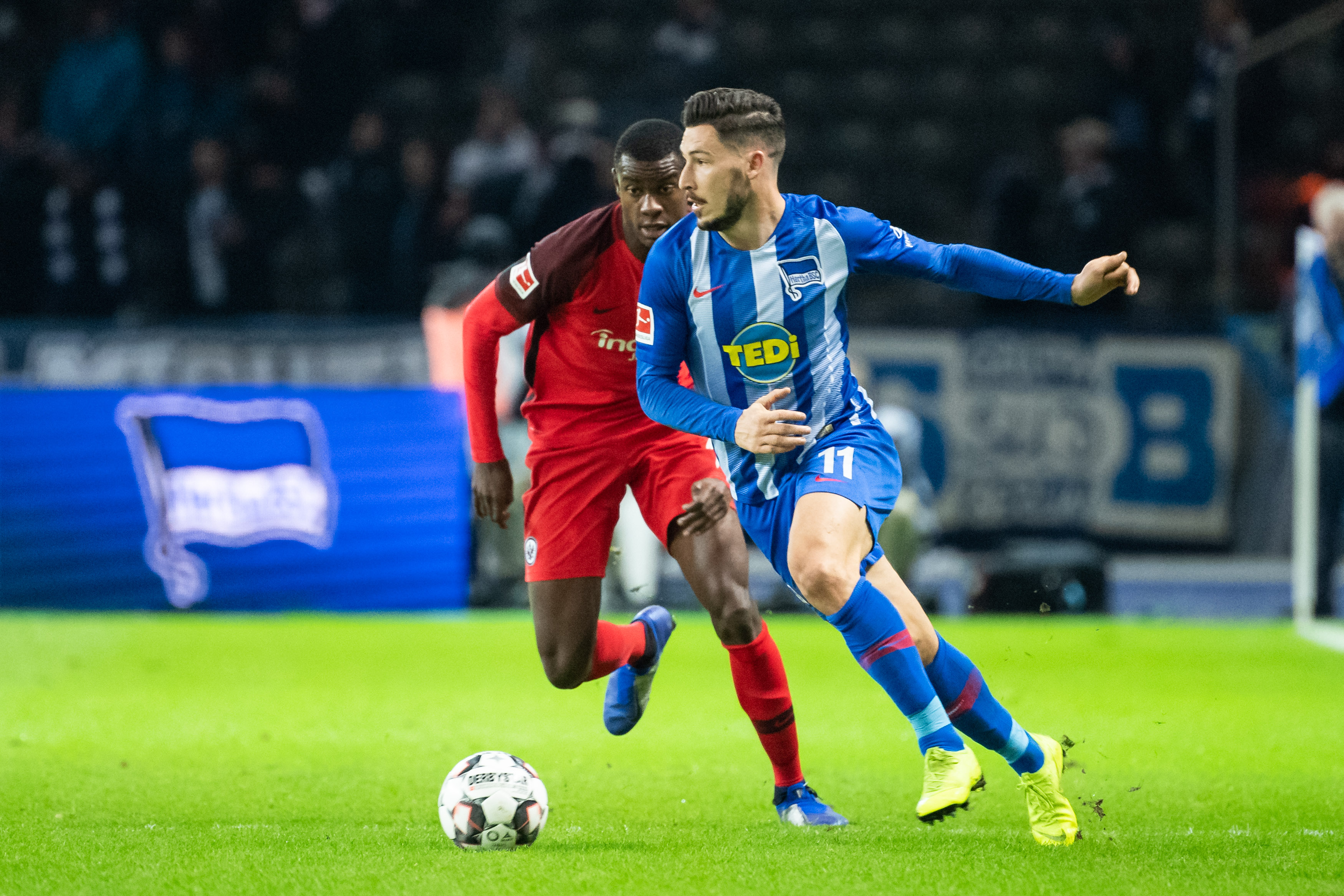 纷纷引进知 纷纷引进知