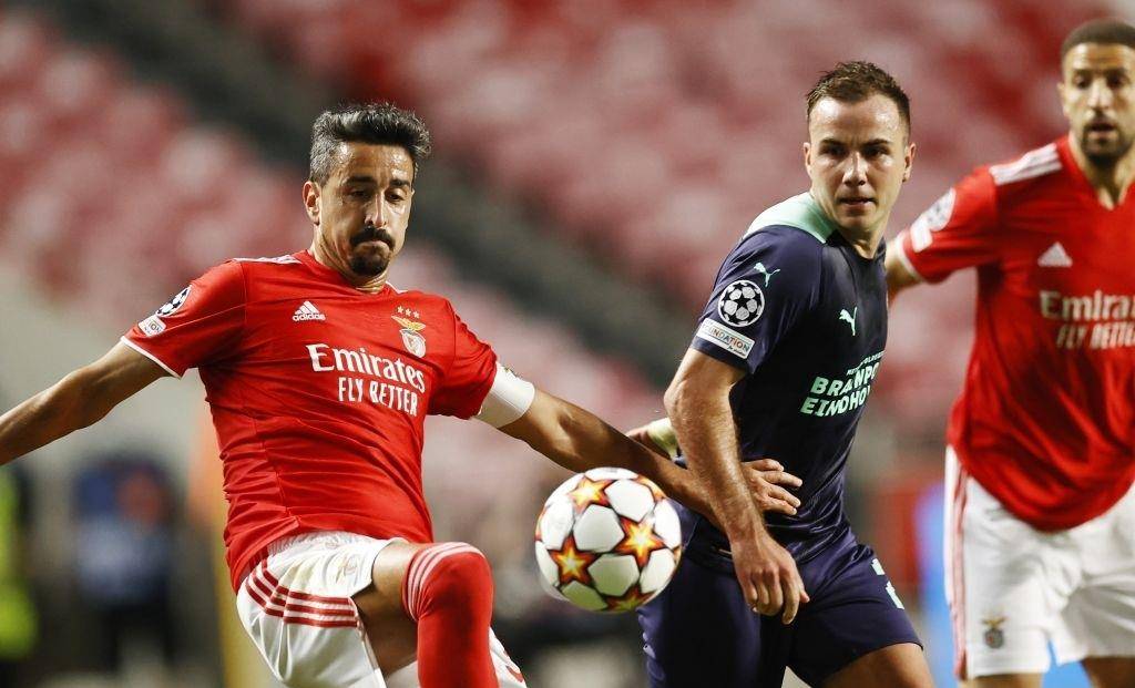 官网预测绿 官网预测绿